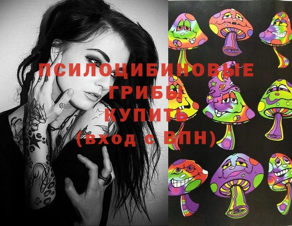 дмт Липки