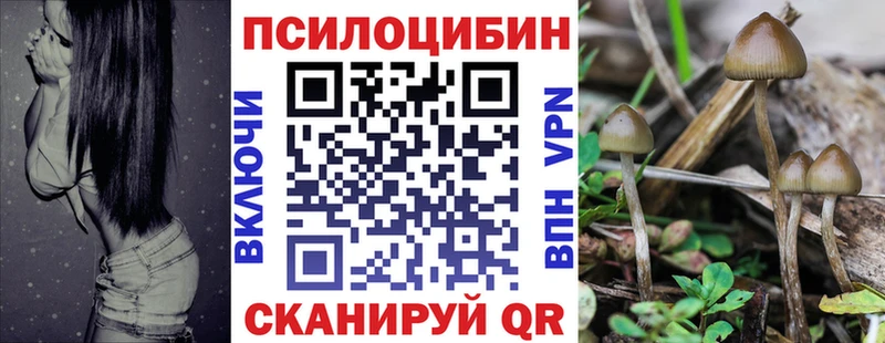 Купить закладки  Кузнецк  Галлюциногенные грибы Psilocybine cubensis 